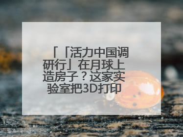 「活力中国调研行」在月球上造房子？这家实验室把3D打印“带上月球”